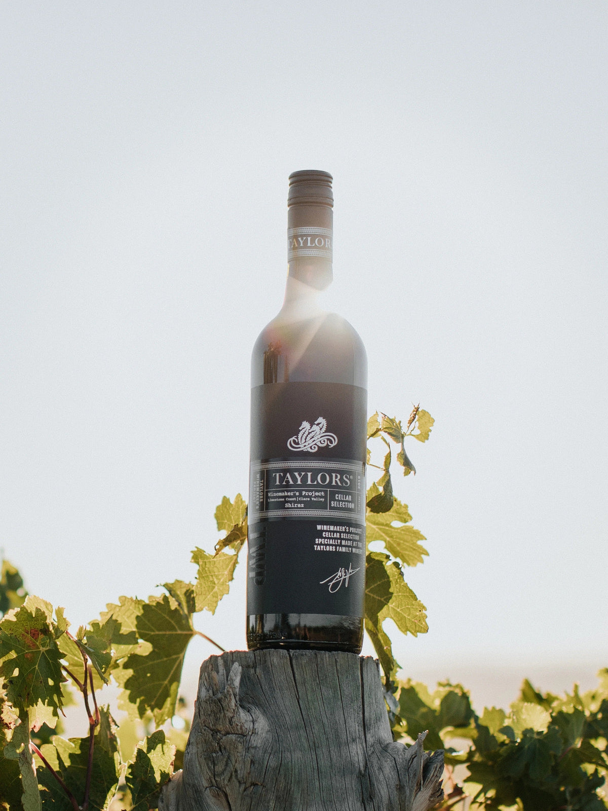Top 10 Wines You Must Try This Year